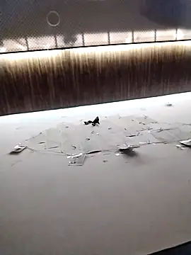 soft hearted online show from 05/11/26, 04:59