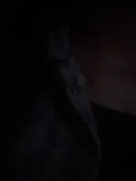 LilybethGray online show from 11/19/25, 10:43