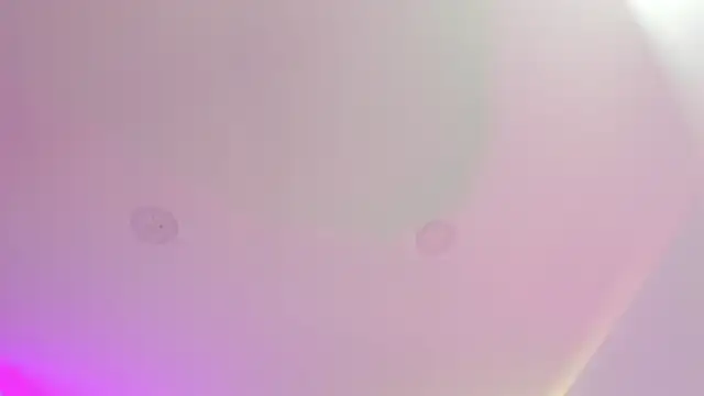 Cherrydollxx online show from 09/25/25, 11:58