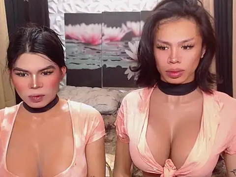 WILDROXIE online show from 12/16/25, 04:17