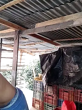 hoteder online show from 02/24/26, 01:53