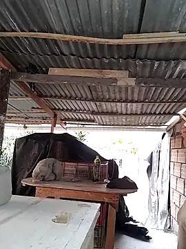 hoteder online show from 04/15/26, 12:12