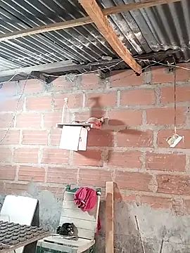 hoteder online show from 04/19/26, 12:04