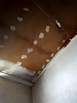 lucho2328 online show from 09/30/25, 06:46