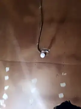 lucho2328 online show from 10/29/25, 06:31