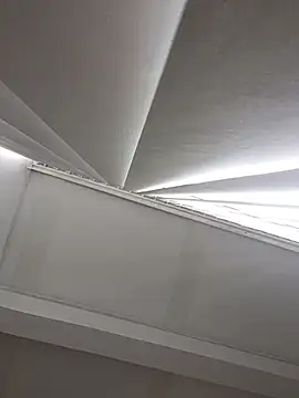 Adonis WB online show from 10/15/25, 09:59