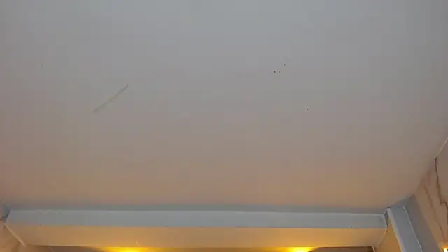dania b  online show from 10/19/25, 03:07