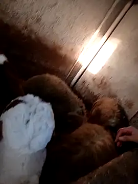 ezgi2545 online show from 02/20/26, 02:39