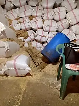 ezgi2545 online show from 04/19/26, 11:09