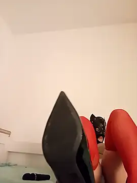 KittenCarnivore online show from 11/22/25, 08:30