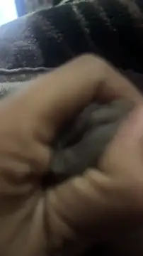 longfuckk online show from 12/20/25, 07:32