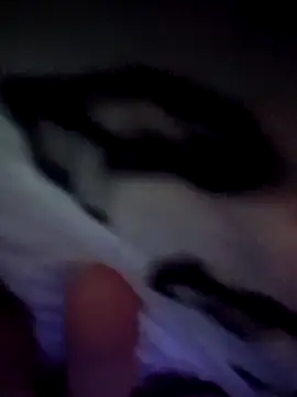 Snapshot of EsDezz88 chatting on 10/02/25, 02:40 EsDezz88 online show from 10/02/25, 02:40