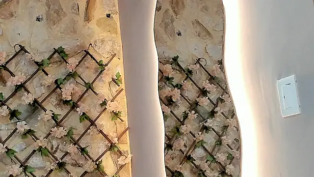 VenusBlazer online show from 02/07/26, 03:21