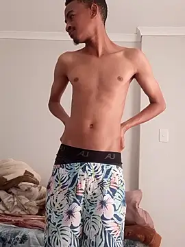 gemini loops online show from 11/19/25, 06:46