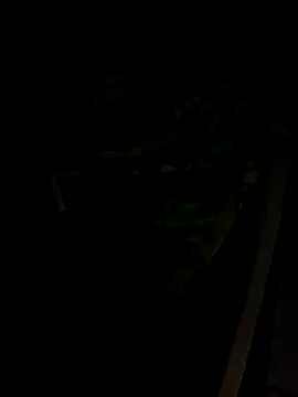 Snapshot of sr_dias chatting on 11/13/25, 08:46 sr dias online show from 11/13/25, 08:46