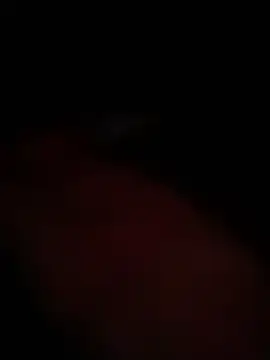 serhatcangngrr online show from 05/05/26, 10:40