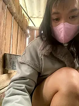 PhanHaa online show from 01/16/26, 02:04