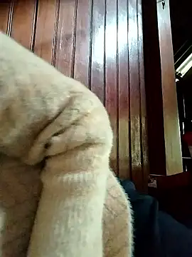 Sinejdk3 online show from 01/19/26, 09:46