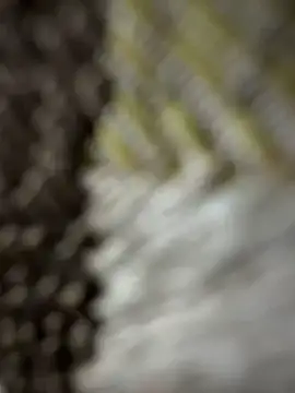 Snapshot of monster20cm chatting on 03/15/26, 03:23 monster20cm online show from 03/15/26, 03:23