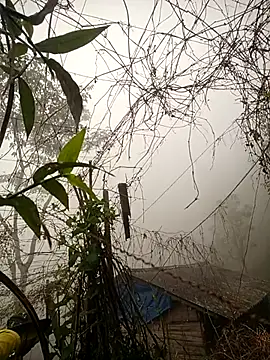 quynhkoolbae online show from 02/28/26, 12:44