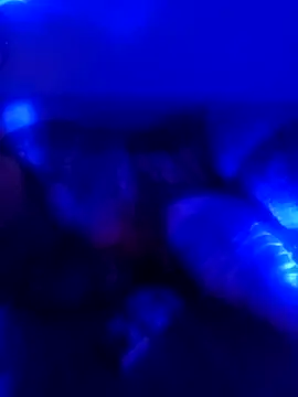 senacansu online show from 10/26/25, 02:50