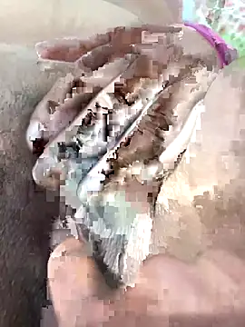 ache45 online show from 11/07/25, 09:15