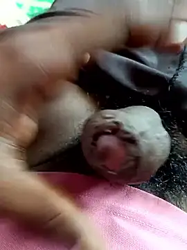 dolphiinn online show from 11/04/25, 05:28