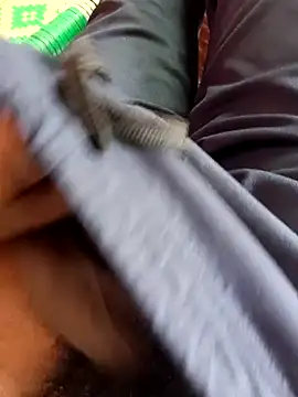 dolphiinn online show from 11/20/25, 05:18