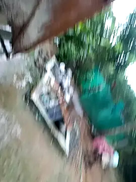 dolphiinn online show from 11/29/25, 01:41