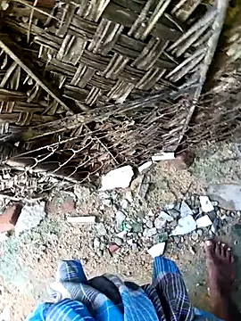 dolphiinn online show from 11/30/25, 04:27