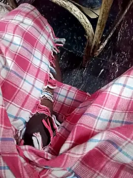 dolphiinn online show from 01/13/26, 02:22