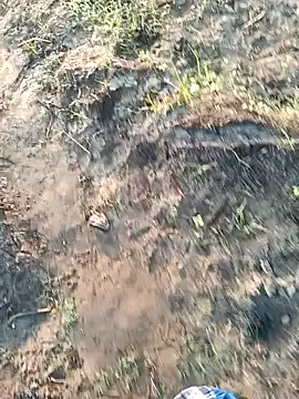 dolphiinn online show from 03/06/26, 01:35