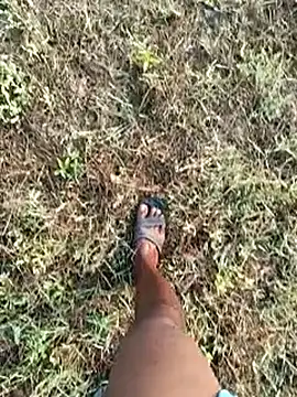 dolphiinn online show from 03/08/26, 02:04