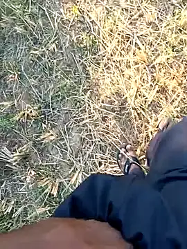 dolphiinn online show from 04/01/26, 12:06