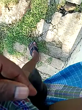 dolphiinn online show from 04/12/26, 10:42