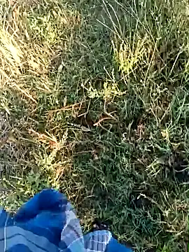 dolphiinn online show from 04/19/26, 01:49