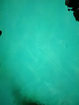 Snapshot of Arti13A chatting on 01/17/26, 03:17 Arti13A online show from 01/17/26, 03:17