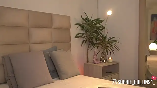 Snapshot of SophieCollins_1 chatting on 06/01/26, 11:56 SophieCollins 1 online show from 06/01/26, 11:56
