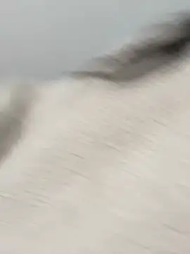 Victoria alson online show from 02/19/26, 01:29