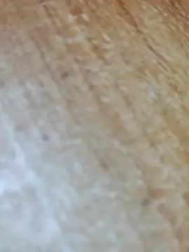 Markroco696 online show from 11/17/25, 05:02