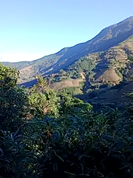 misa 00 online show from 11/29/25, 01:08