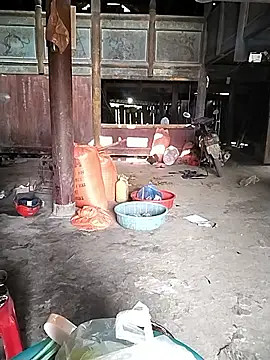 venu00 online show from 12/02/25, 03:01