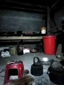 venu00 online show from 02/08/26, 02:31