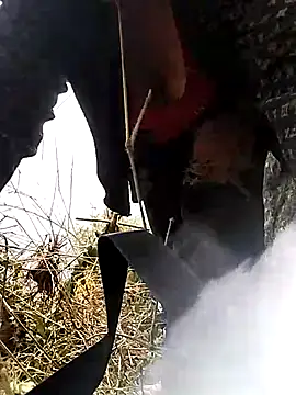 venu00 online show from 03/25/26, 05:24