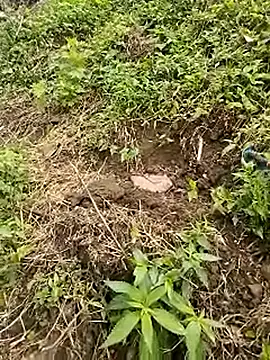 venu00 online show from 04/21/26, 01:42