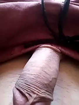 bemmagrinho36 online show from 02/06/26, 04:21