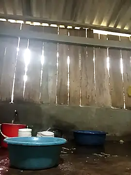 Ngocmi909 online show from 11/17/25, 01:22