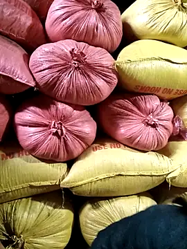 Sa2mh20 online show from 02/11/26, 06:51