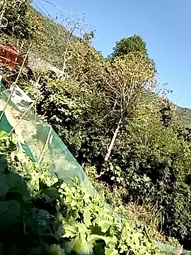 Maymay0033 online show from 11/29/25, 04:59