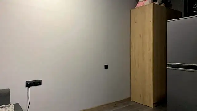 Snapshot of AiMinix chatting on 10/01/25, 04:13 AiMinix online show from 10/01/25, 04:13